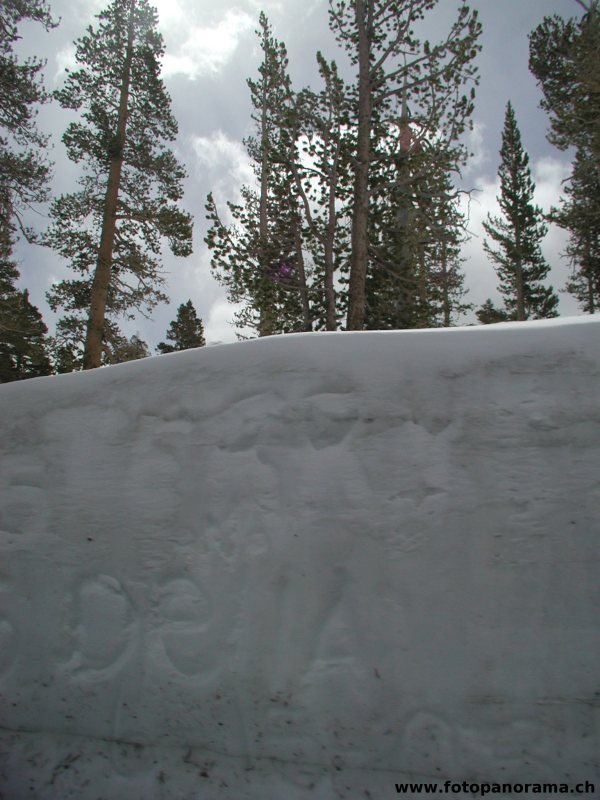 Mur de neige