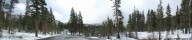 Winter Forrest Panorama