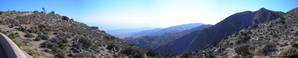 Joshua Tree Panorama