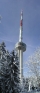 Uetliberg, Transmission Tower Uetliberg, Transmission Tower